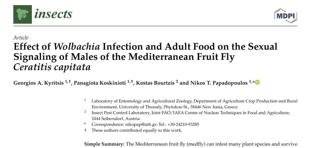 💡Did you know that a tiny little endosymbiotic bacterium can affect male sexual pheromone production leading to potential rejection of a male by females?
doi.org/10.3390/insect…
Authors: Giorgos Kyritsis, Giota Koskinioti  Kostas Bourtzis and Nikos T. Papadopoulos