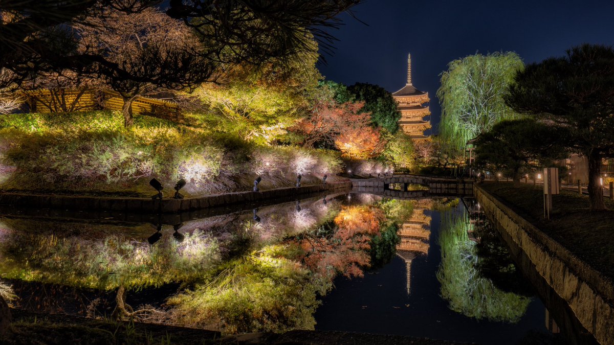 今年も秋の京都が楽しみです🍁