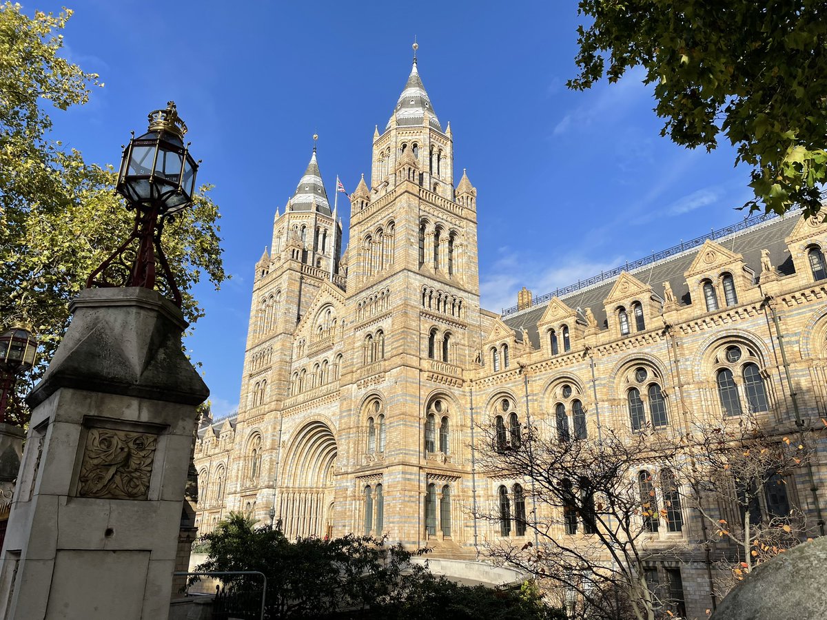 Excited to be back at the NHM collections for the first time in YEARS. Fossil fishies: I am coming for you!