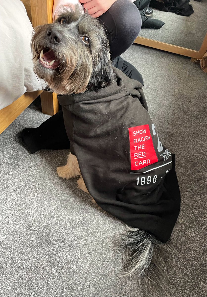 Show Racism the Red Card tweet media