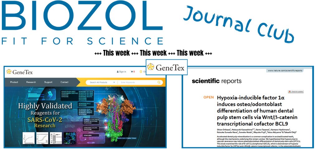 BIOZOL_GmbH's tweet photo. These findings by Orikasa et al. (2022) may reveal part of the mechanisms of dental pulp mineralization after traumatic dental injury.
https://t.co/hbMr3qKXPO
GFAP antibody GTX108711 by @genetexinc is featured in this study.
#dpsc #bcell #hif1a # bcl9 #hypoxia #wntb https://t.co/P3a9q71XD0