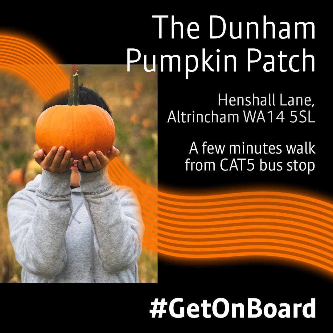 BeeNetwork's tweet photo. Our next #Halloween recommendation is @Dunhampumpkins *witch* is open until 30 October and is a great spot for: 

Cute photos/ pumpkin picking/ wholesome fun 🎃 

👉https://t.co/r2t6g0jxn7 

#GetOnBoard https://t.co/r1ojfzt89i
