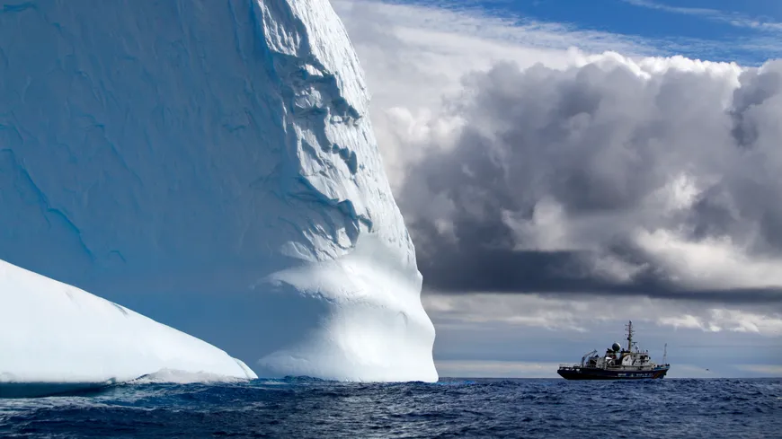 Aujourd'hui avec <a href="/OceanoMonaco/">MuséeOcéanographique</a> on déniche des nids... sous la glace 😲 Pour en savoir plus, c'est par ici 👉 arti.ps/230