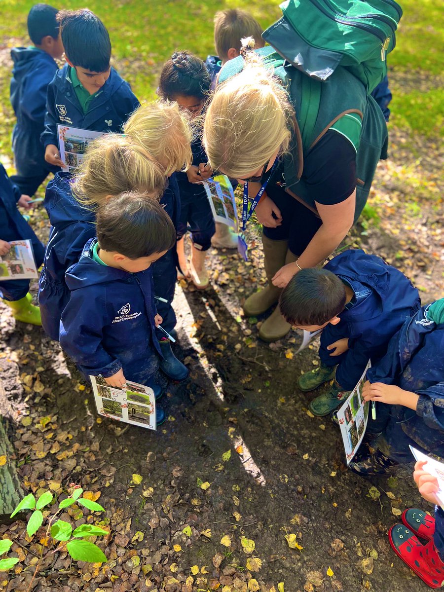 KESPreparatory's tweet photo. #StroudReception visited Emer Bog this week for their Forest School lesson. They had a wonderful time exploring nature in the Autumn sunshine. They had lots of different things to spot, they climbed trees and built dens. They finished with hot chocolate and a story. #StroudSchool https://t.co/Fc84Ocg5R6