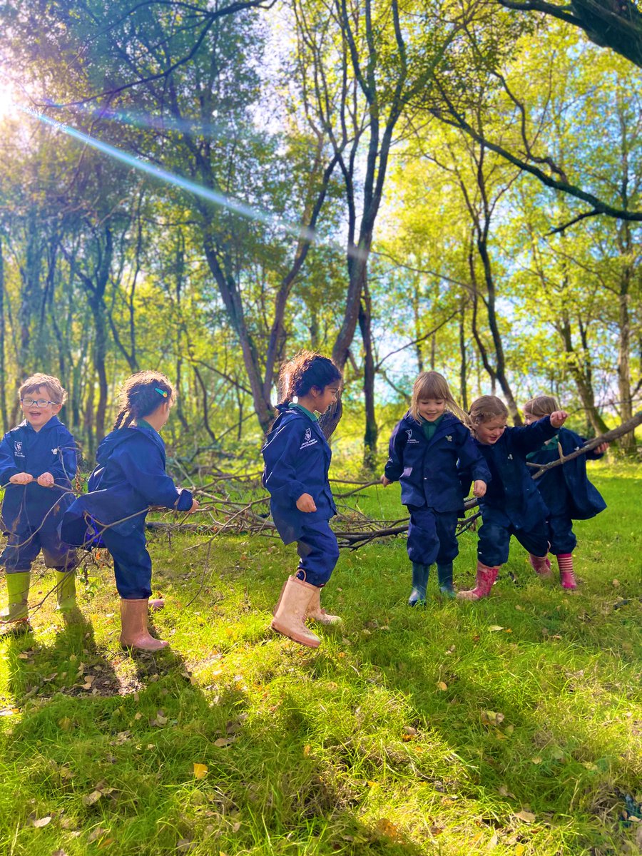 KESPreparatory's tweet photo. #StroudReception visited Emer Bog this week for their Forest School lesson. They had a wonderful time exploring nature in the Autumn sunshine. They had lots of different things to spot, they climbed trees and built dens. They finished with hot chocolate and a story. #StroudSchool https://t.co/Fc84Ocg5R6