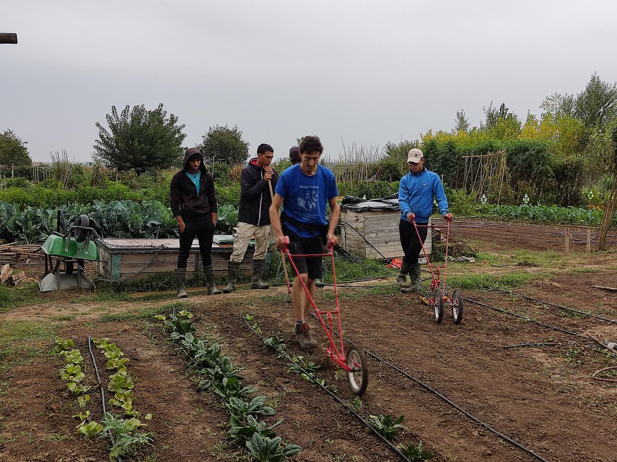 lleidaenverd's tweet photo. Moltes gràcies a tots els assistents a la mostra de maquinària per a horticultura ecològica, a càrrec de @eixarcolant. Vam veure diferents tipus d'eines per desherbar, biciaixades, complements, ente d'altres.
#SetmanaBio2022 #HortadeLleida #espaistests #viveragricultorsrufea https://t.co/LSoiFzNs2U