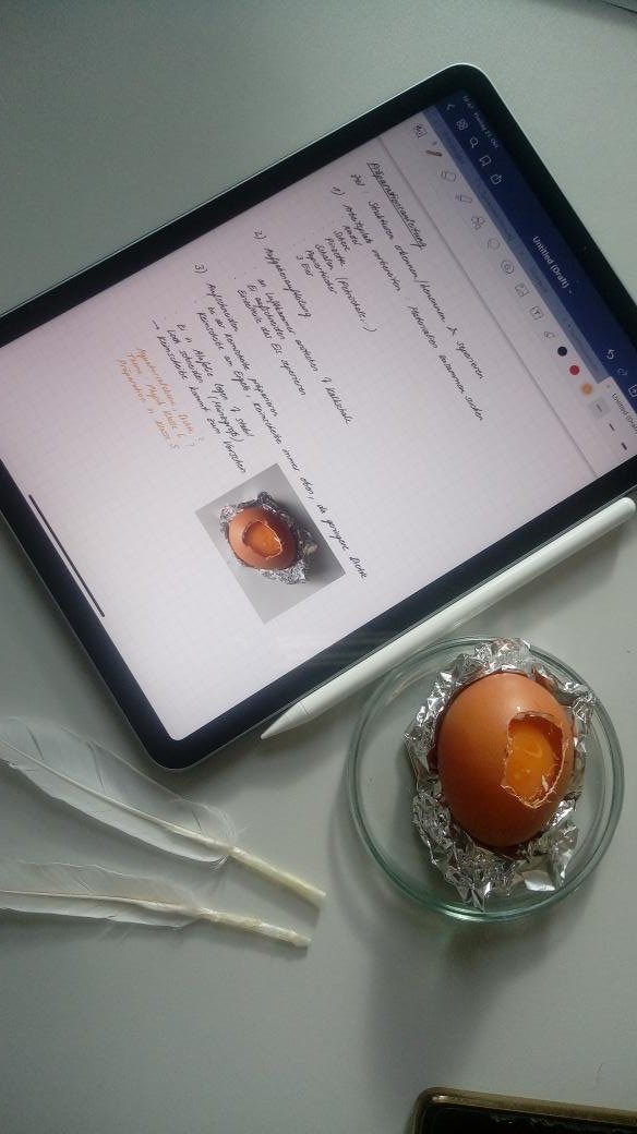 maja_funke's tweet photo. Endlich wieder #Schulexperimente im WiSe! Den ersten spannenden Kurs zum Thema "Betrachten und Untersuchen" im #Biounterricht hat @AlxBergmann für unsere Studierenden vorbereitet. https://t.co/HEd8gULTi8