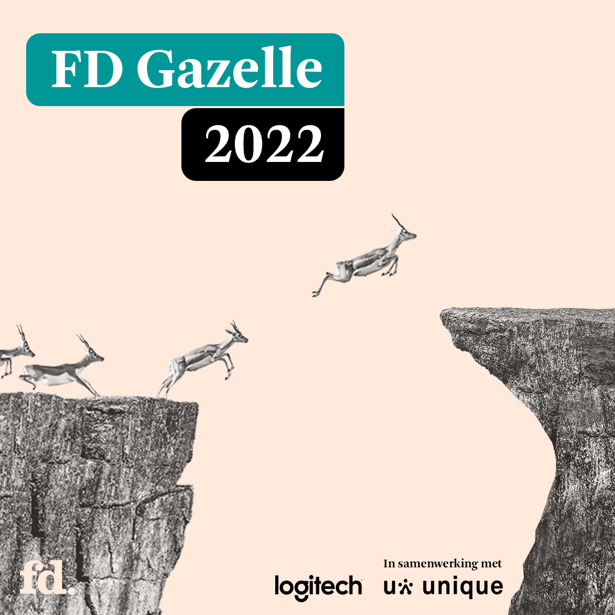 Feest! 🎉🎉 <a href="/Budgetisolatie/">Budgetisolatieshop</a> is FD Gazelle 2022! Jaarlijks reikt het Financieel Dagblad deze prijs uit aan de snelstgroeiende bedrijven van Nederland. #Trots op ons team, onze leveranciers en onze klanten!