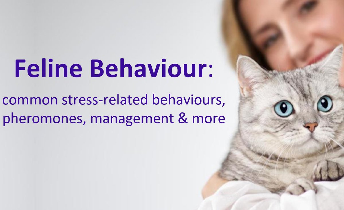 Boost your canine &amp; feline behaviour knowledge ahead of fireworks season with FELIWAY and ADAPTIL accredited CPD from CEVA <a href="/SQPTraining/">SQP Training</a> 2 CPD points for each course. Need an account just email name &amp; SQP number to us at sqp@vbms-training.co.uk. #VBMS  #CPD #Ceva #feedyourhead