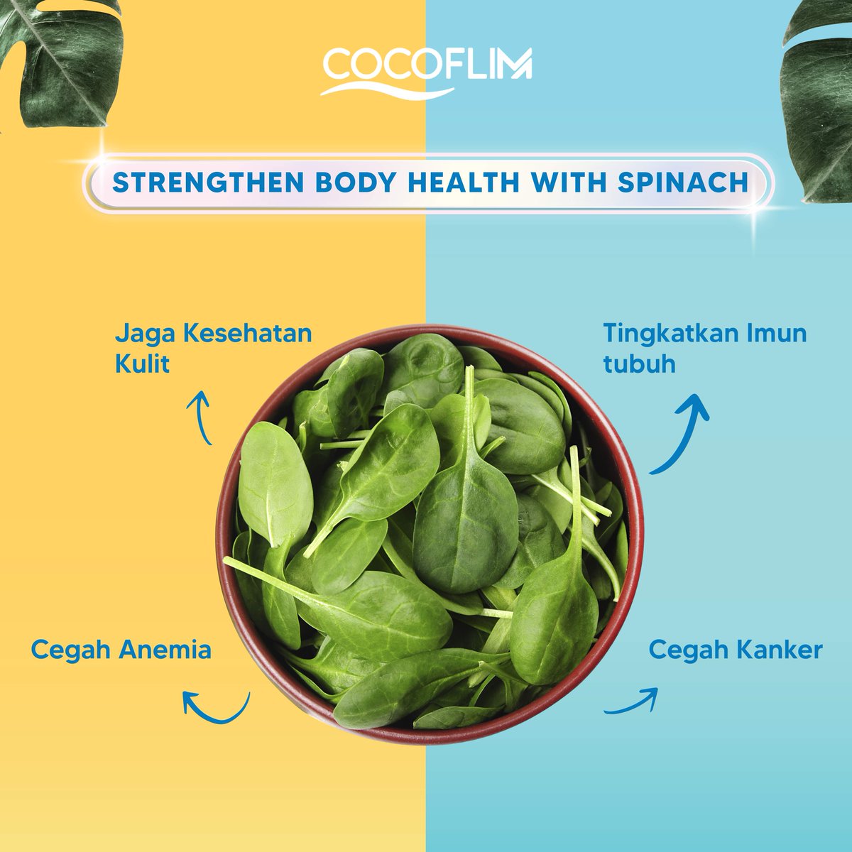 CocoflimFiber's tweet photo. Katanya sih karena terlalu hijau, bayam bikin mual. Sayang banget jadi gak bisa merasakan kebaikannya bayam ☹️ Untung ada Cocoflim, cukup 1 sachet, bisa merasakan manfaat macam-macam buah dan sayur 🥰

#Cocoflimfiber #cocoflim #fiberdrink https://t.co/wUXYubWh7u