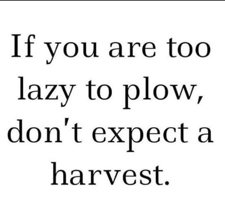 Let's keep pushing Afica is raising ..<a href="/terrymap1/">The Prince Machiavelli</a> <a href="/basera_john/">John Basera</a> @Zanupf_MashCent <a href="/SangwaSifa/">Sangwa Sifa Florence</a> <a href="/kaytaykate/">Karen Katerere</a> <a href="/JackieMdhumeni/">Jackie Mdhumeni</a> <a href="/FraFood/">Food Reserve Agency (FRA)</a> <a href="/AGRI_Promoters/">Global Agriculture Promoters</a> #Africa 🌍 #globalfarmersconnect