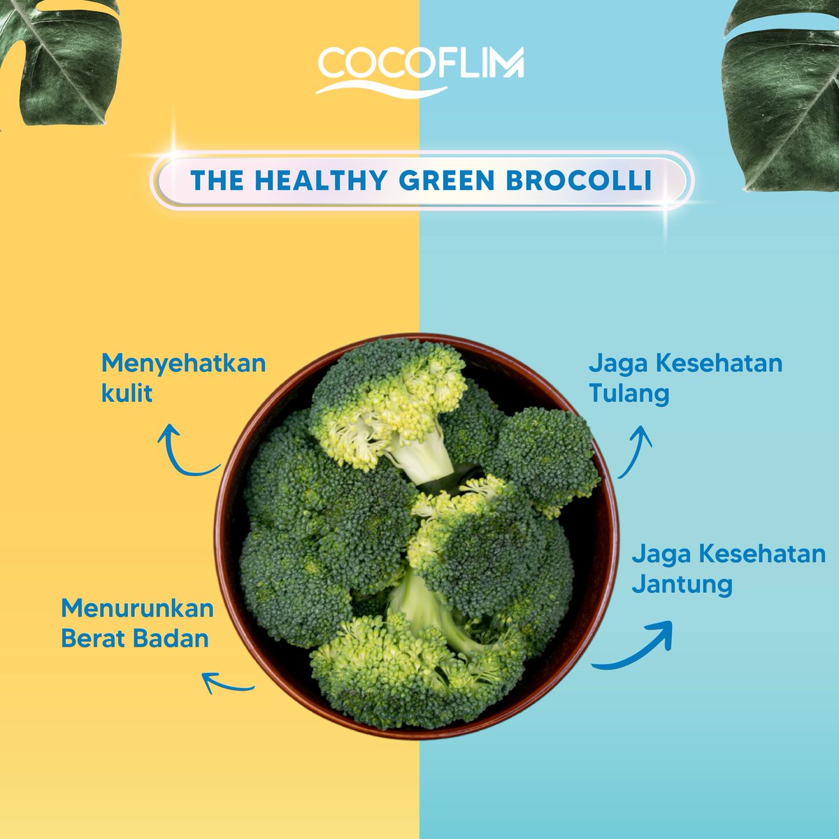 CocoflimFiber's tweet photo. Siapa yang udah tau kalau brokoli mengandung kalsium, fosfor, dan vitamin K?
Karena kandungannya, brokoli bisa menjaga kesehatan tulang lho!
Tulang yang sehat akan membawa kamu ke pengalaman yang menyenangkan ☺️

#Cocoflimfiber #cocoflim #fiberdrink https://t.co/QFkWOjB0Uk