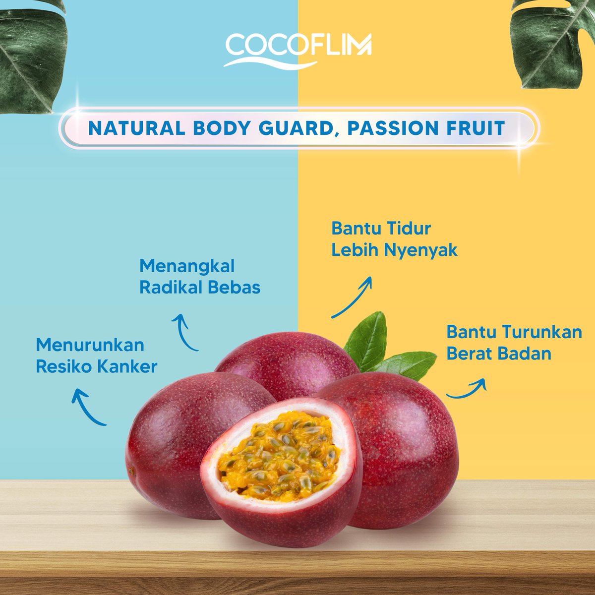 CocoflimFiber's tweet photo. Buah markisa bisa menurunkan resiko kanker karena mengandung vitamin A, flavanoid, dan senyawa chrysin yang punya aktivitas antikanker. 
Kebayang dong enaknya Cocoflim yang juga punya buah markisa di dalamnya? Checkout sekarang deh 😆

#Cocoflimfiber #cocoflim #fiberdrink https://t.co/m1hB71QBmV