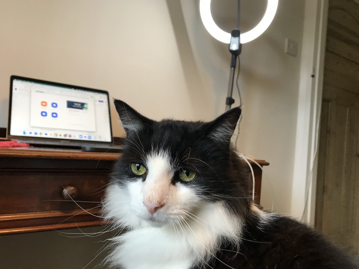 chblm's tweet photo. New presenter for #CoinGeekConversations is auditioning today. https://t.co/OAVyIVjV15