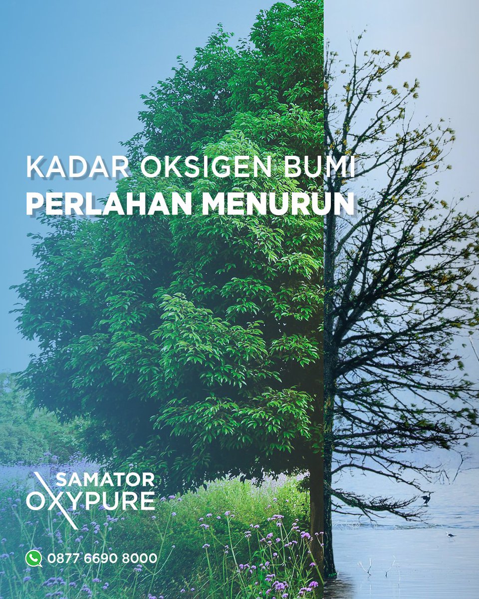 SamatorOxypure's tweet photo. Tahukah kamu? Kadar oksigen bumi perlahan menurun.
Perubahan iklim bumi banyak mempengaruhi kondisi lingkungan kita. Tidak hanya suhu yang meningkat, perubahan lingkungan juga
terdapat di lautan. Data menunjukkan terdapat peningkatan wilayah minim oksigen sampai empat kali lipat. https://t.co/Tz2VZPDHQX