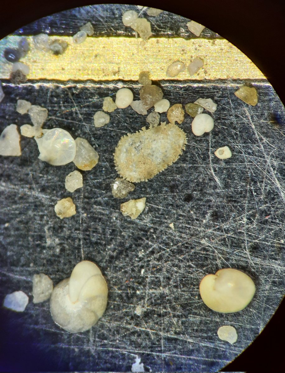 Robert Spielhagen tweet media