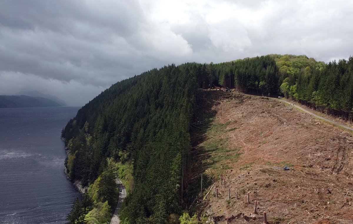 A82operations's tweet photo. Harvesting operations along A82 are re-starting in early November. 

This season we will be operating on a site 4 miles south of Drumnadrochit and will have traffic management on site. 

https://t.co/cLF0ZVXzNM https://t.co/naHLgv8Cl7