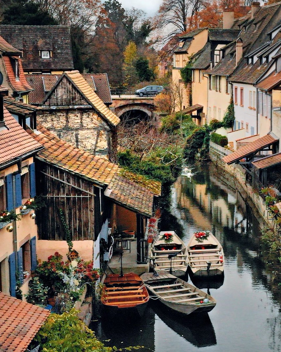 theflorafiona's tweet image. Colmar, France🇫🇷🏘️💦🛥️🌿🌺