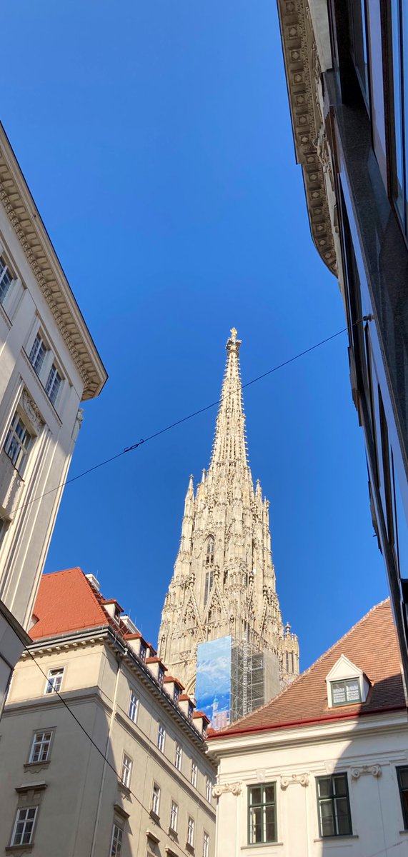 corn_iusmeister's tweet photo. #Stephansdom #Vienna 
#Steffl #Wien https://t.co/8MkGD2DNpA