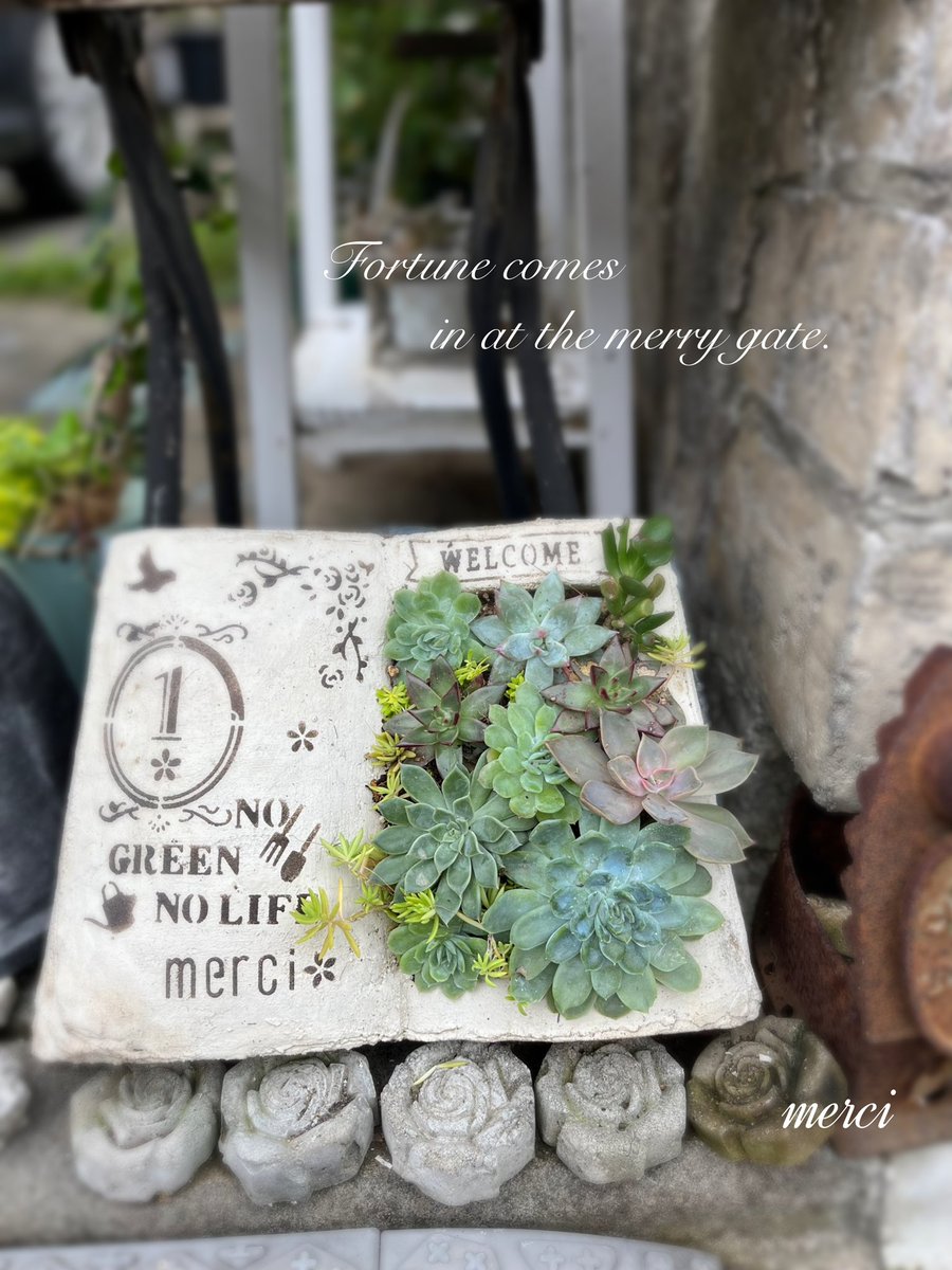 Y2m2f3's tweet photo. カスカスだったBookに
家にあった多肉植物で設直し
#Book #多肉植物　#モルタルデコ https://t.co/Cf6HcE1VSU