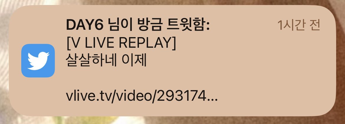 브이앱 브이앱 븨야어우으ㅏ ㅠㅠㅠㅠ