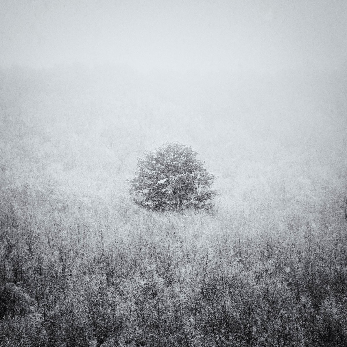 My edition piece "Rise above" only has 2/5 left for grabs at 0.02. Available on <a href="/opensea/">OpenSea</a>. <a href="/C_P_C2022/">Creative Photographers Club</a>