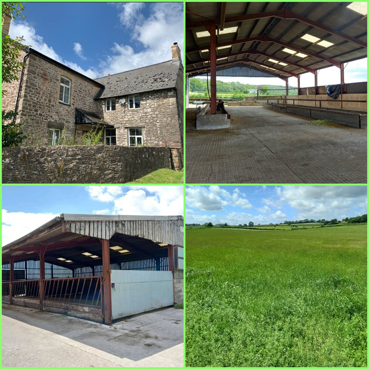 Emily_M_Hayes's tweet photo. Rare opportunity to rent this beautiful Monmouthshire County Council Farm Holding with 113 acres on a 5 year FBT. For more info please speak to our agents Bruton Knowles or look on the MCC available property page on our website. #mcccountyfarms #lowerhousefarm #llanvairdiscoed https://t.co/5YBibPn62w