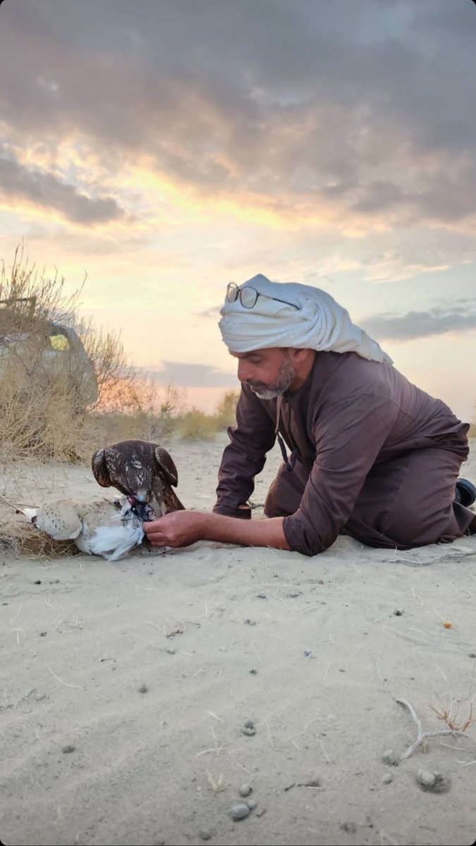 سمو الشيخ حامد بن زايد بن سلطان آل نهيان
الشاعر /أحمد بن هياي المنصوري
حفظهم الله ورعاهم ✍️
مقناص أوزبكستان 🦅
<a href="/AhmedBinHayai/">أحمد بن هياي</a>
