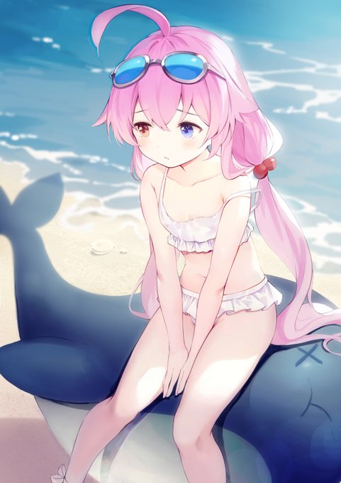 #ブルアカ   #小鳥遊ホシノ    老婆❤️ 