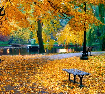 TrueNorthTravel's tweet photo. SAVE $300 per couple. BOSTON ULTIMATE GETAWAY. Discover all that the city of #Boston has to offer on this four-day adventure! 4 days from $639. #travelbyrail #vacation #traveler #train #bostoninautumn #beautiful https://t.co/AoPh86IC7f