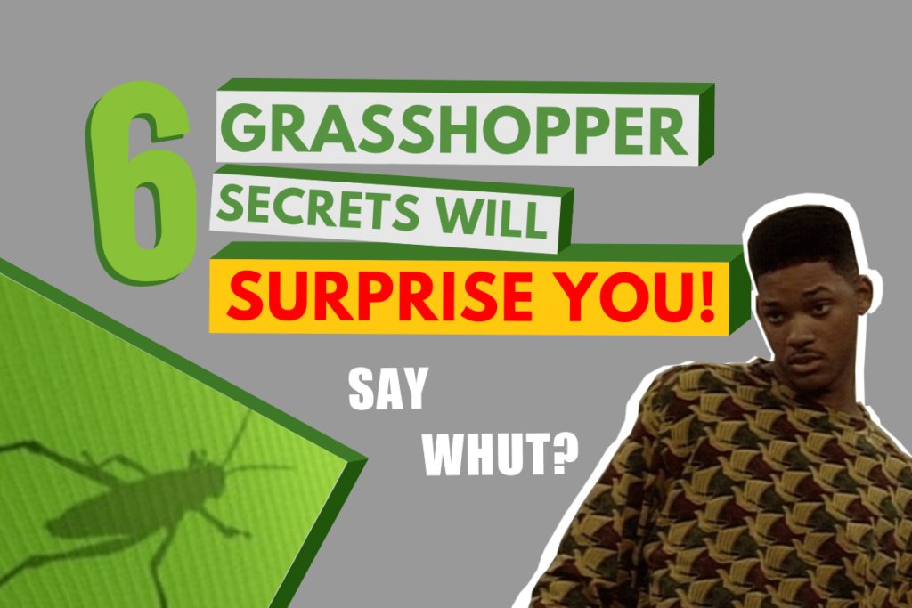 perogar_BIM's tweet photo. "6 Grasshopper secrets that will surprise you!"
Artículo de Krzysztof Wojslaw, @K_Wojslaw
comentando 6 interesantes trucos para dominar el uso de #Grasshopper. 
#VDC #ProgramaciónVisual #BIM 

https://t.co/FI6SPiKKPG https://t.co/XPGVYWaBW4
