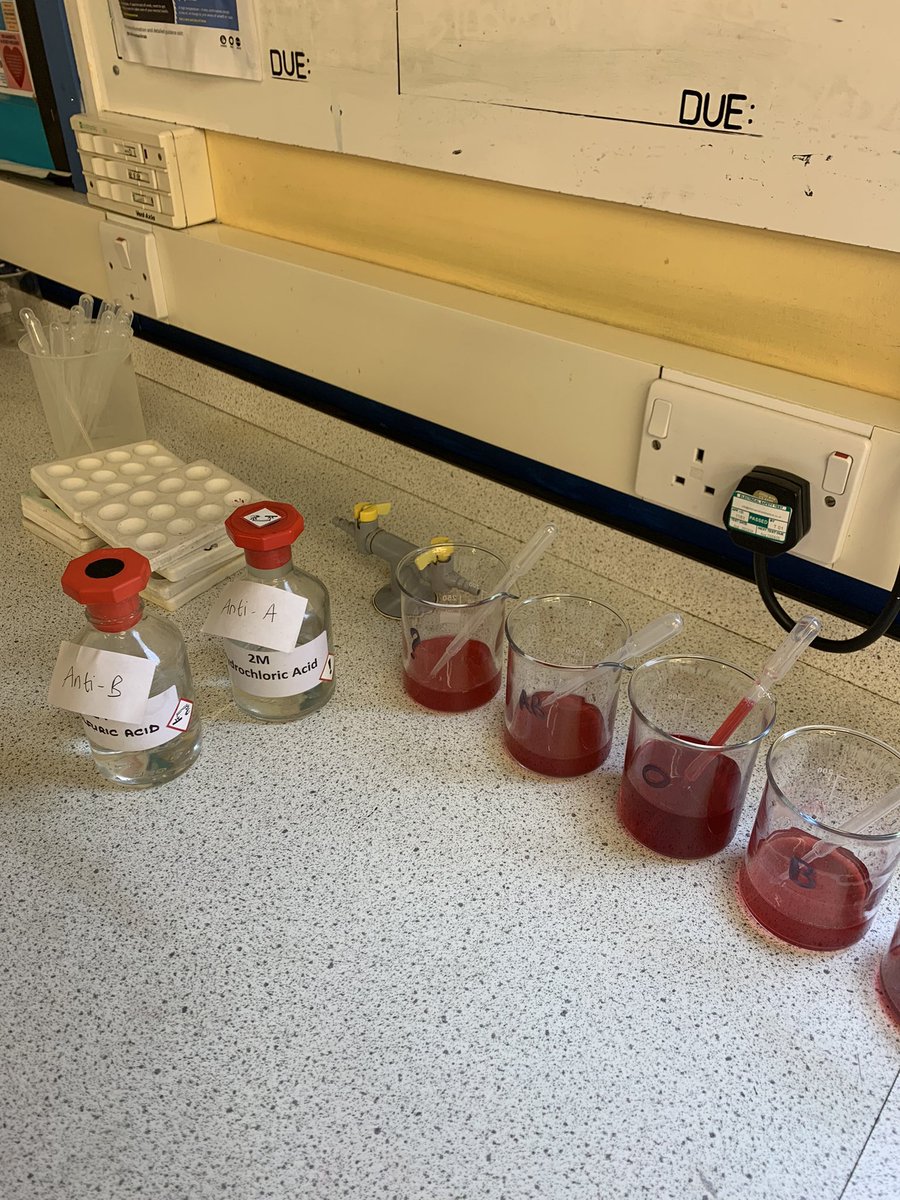 MissWrightScience tweet media