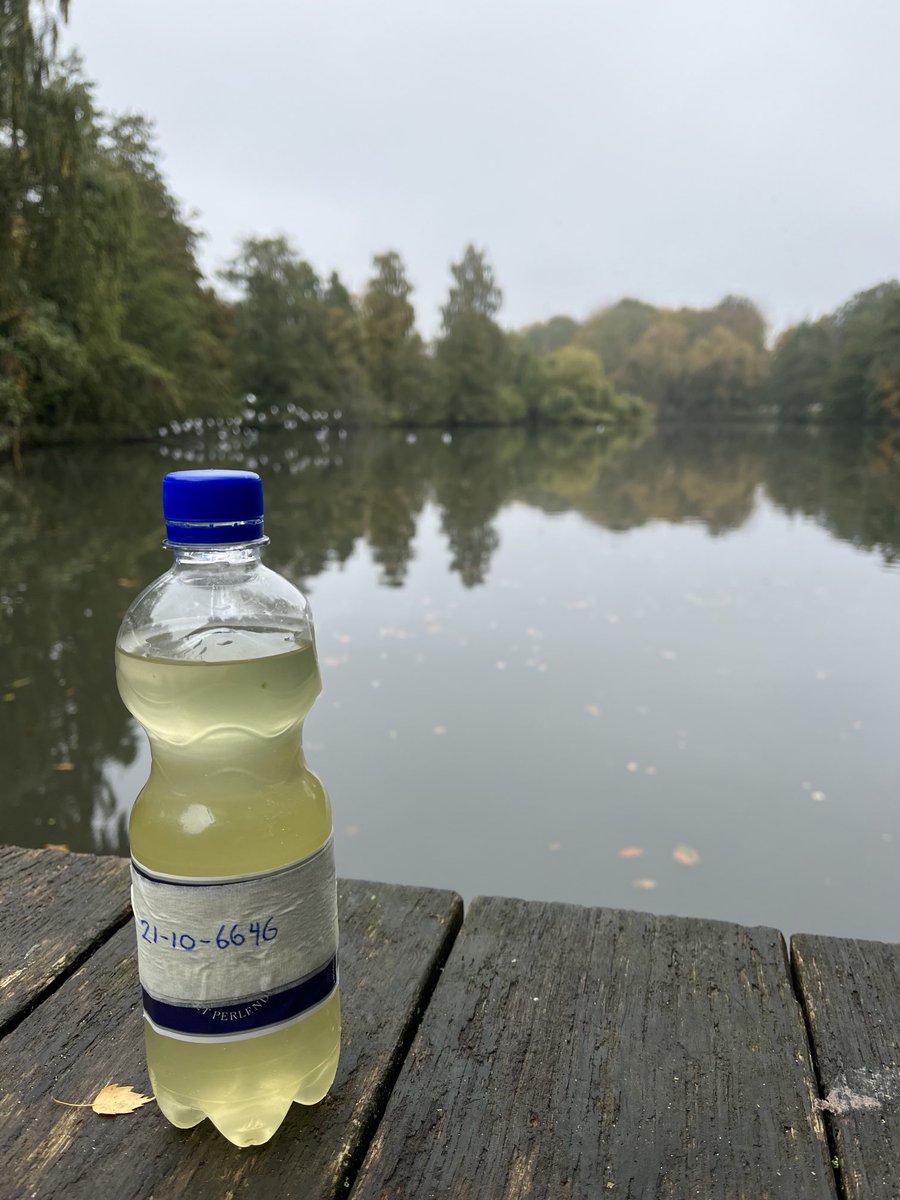 TKaarsted's tweet image. Spent an hour collecting samples for the #sdu #citzenscience project ⁦⁦Find a Lake. Except for the occational angry swan I can report all is well #raprap #sdgs