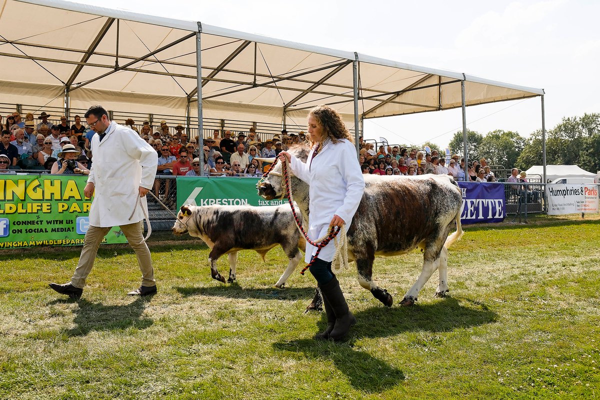 Following the recent livestock elections, our Chief Sheep Steward is now Mrs J Masters, who is happy to announce we will be offering mv and non mv in all sheep sections next year. 🐑 Our new Chief Cattle Steward is Mr M Deakins. 🐄 Well done both on your new roles!