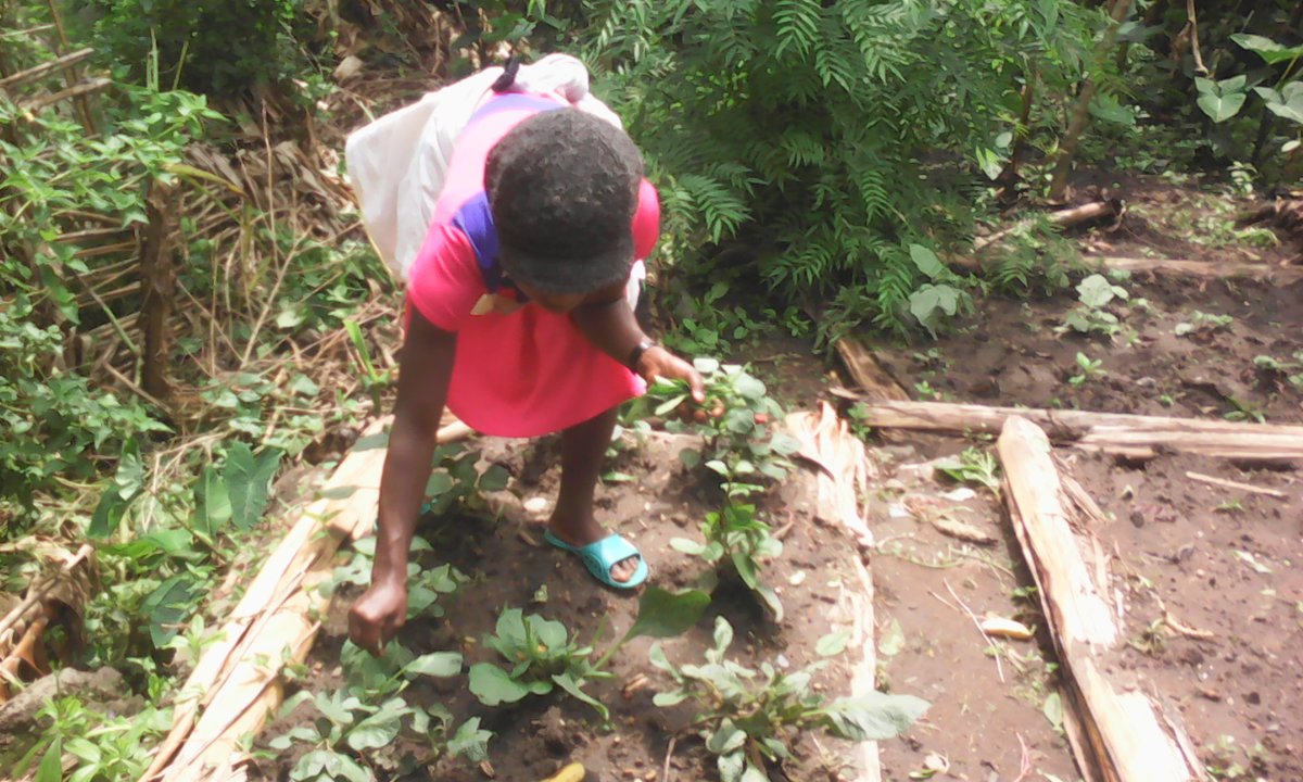 FoundationGef's tweet photo. https://t.co/ZW568dMDCh