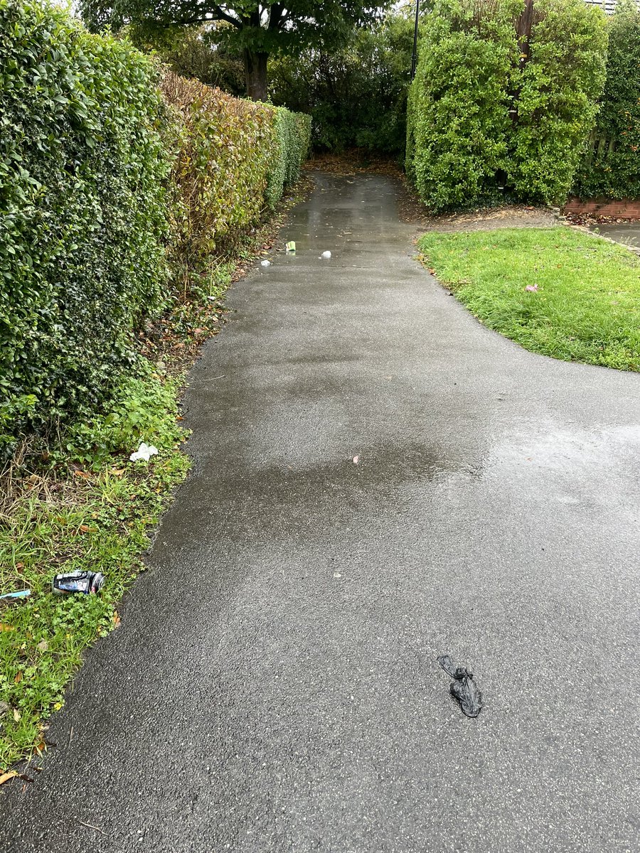 ameliesnaps's tweet photo. @sccstreetsahead @HelpSheffield @Ameyplc @JoeOttenX Hello, what’s going on with the public bin collection in Norton Lees? There are 3 bins, overflowing with litter particularly dog poo bags scattered on the pavement &amp; field. They haven’t been emptied in two weeks. @SheffCouncil https://t.co/dT5MGoIeH9