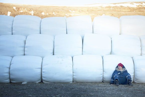 KVIKMYNDAPOD's tweet photo. 🚨🚨New Episode Alert 🚨🚨
Week 2 finds us in the Westfjords for Grímur Hákonarson's fabulous 'The County' or Héraðið.
Inga is a dairy farmer fighting against the sinister local co-op...
#thecounty #héraðið #grímurhákonarson #iceland #film #movie #kvikmynd https://t.co/w65kua37CP