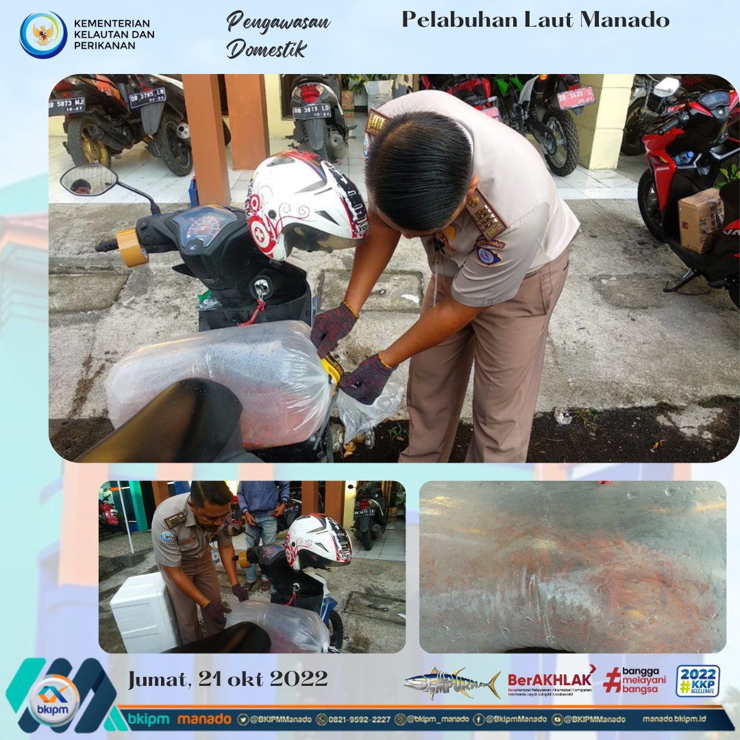 ManadoWilker's tweet photo. 21/10/22 pemeriksaan pengiriman ikan mas 300 ekor dengan KM Venecian tujuan Siau kepulauan Sangihe

#KKPAccelerate 
#KKPGOID 
@bkipm_kkp 
@BKIPMManado 
@Muhlin21 
@like_watung 
@pondaag_vera 
@DollyLumenta https://t.co/P2SsjC32ye