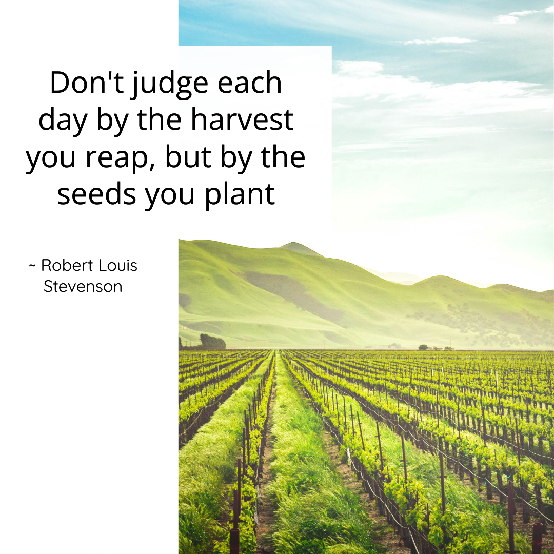 What a great - and inspirational - quote about giving (and gardening!)

Helping, donating and doing what you can on a daily basis might not feel like much but it all adds up and makes a bigger difference than you might think! Share or Like if you agree.