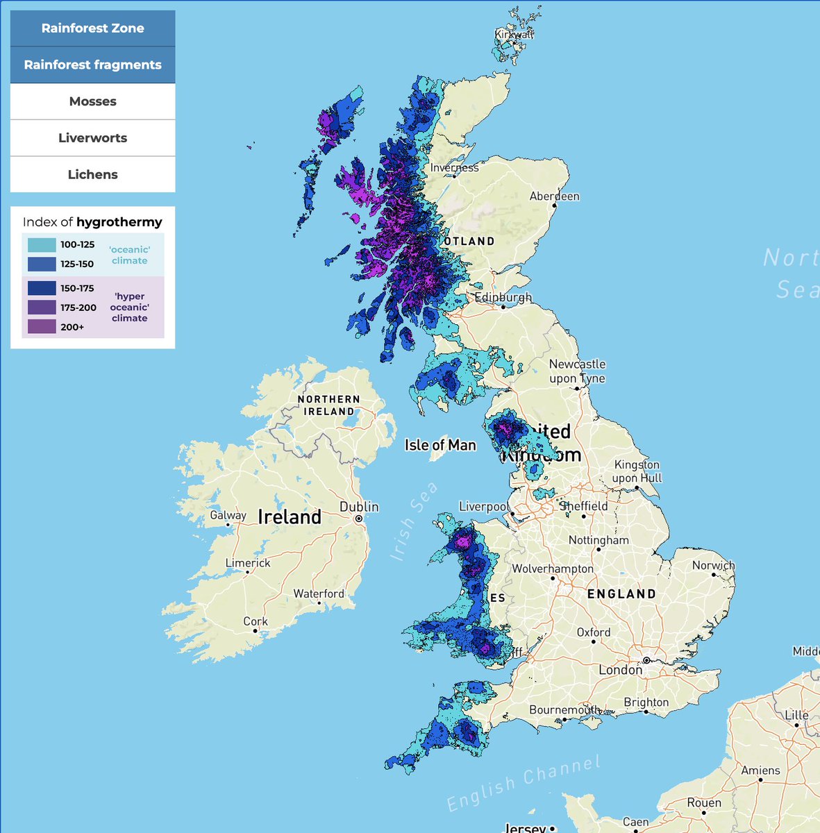 Let's bring back Britain's lost rainforests! Our new maps show that 20% of Britain has a climate suitable for temperate rainforest, but that rainforest now covers just 1% of the country. Interactive map here: map.lostrainforestsofbritain.org Guardian article: theguardian.com/environment/20…