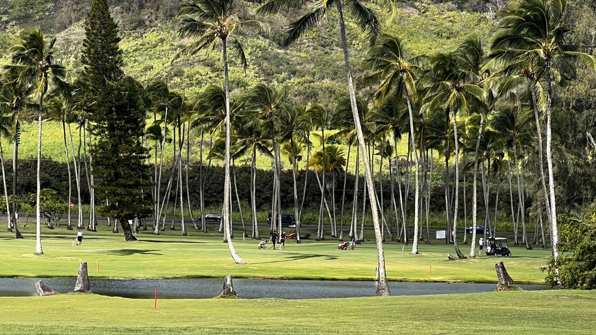 #Golf-WM der Gehörlosen auf Hawaii: Nico Guldan und Vanessa Girke nach wie vor in Führung in den Einzelwettbewerben. Damenteam ebenfalls vorn. Medaillen zum Greifen nah!
