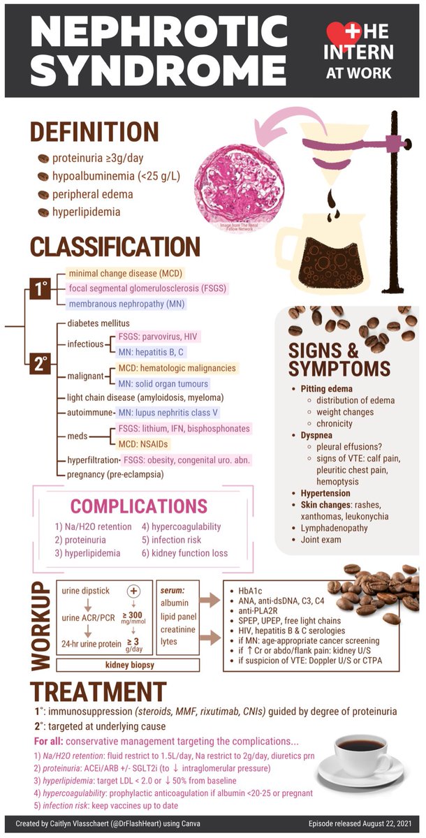 Nephrotic Syndrome

#TipsForNewDocs #MedEd #MedTwitter #medicine #medical #medicare #health #healthcare #FOAMed #ClinicalPearl #clinicaltips #MedStudents