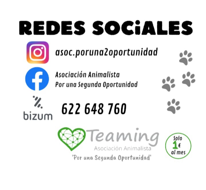 ProtectoraQSDA's tweet photo. @PACMAAndalucia 
Seguimos necesitando ayuda económica para cubrir este tipo de gastos. Por pequeña q te parezca la aportación será de gran ayuda. @AnimalesGob @ https://t.co/f0d7vfkpaf