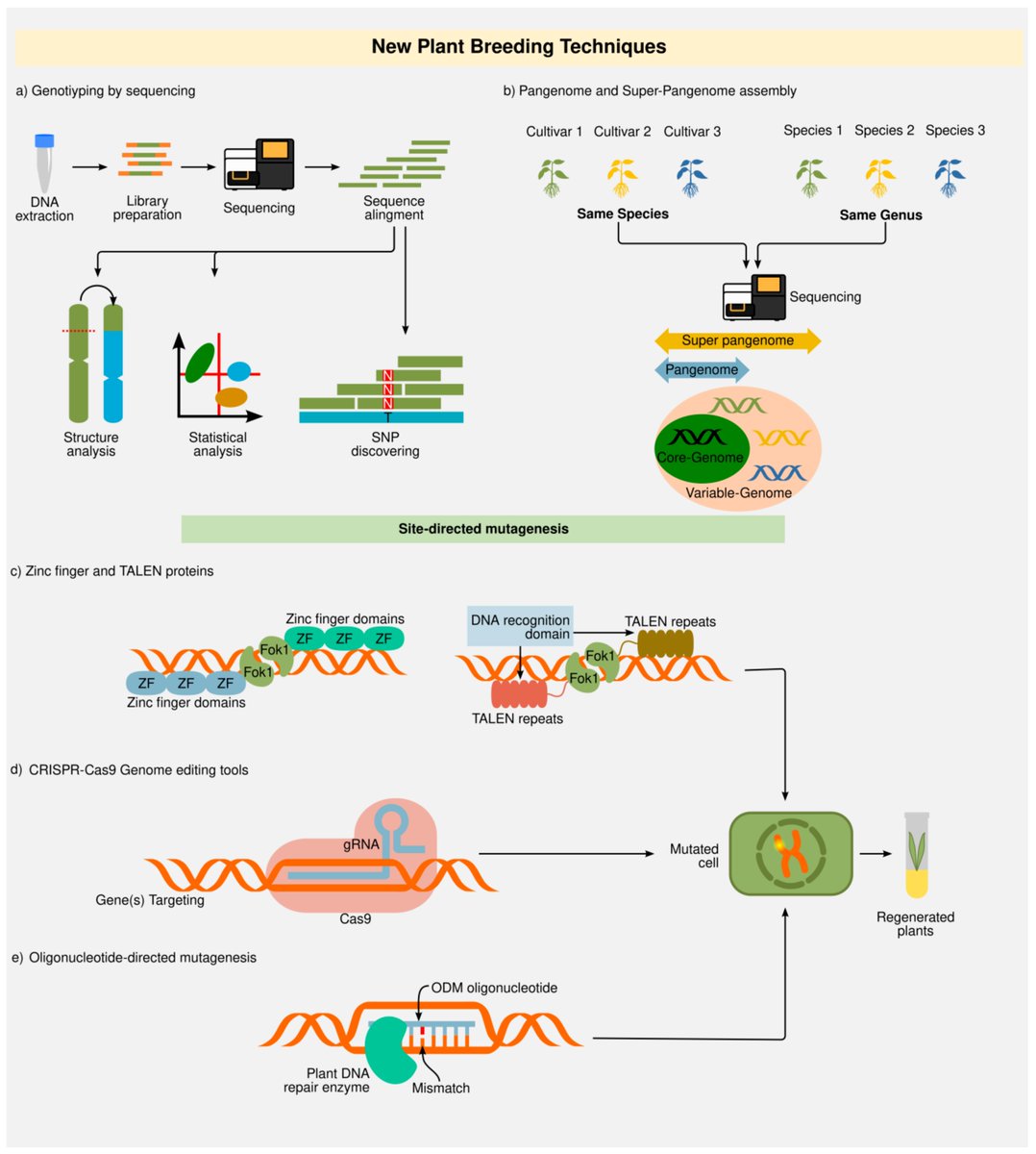 Review by Miguel Angel Villalobos-López et al. @IJMS_MDPI ✔️#Biotechnological Advances to Improve #Abiotic Stress Tolerance in #Crops 🔓mdpi.com/1422-0067/23/1… #PlantSci #scicomm @GrowingBioTech @CGIAR_EiB @PlantBreeder2 @CRISPR_Articles @CRISPR_papers @ResearchGenome #gene