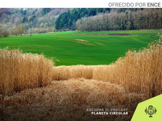El potencial de la biomasa forestal: cómo crear energías renovables a partir de un bosque
elconfidencial.com/medioambiente/…

Podcast con la participación de <a href="/asun_camara/">asun camara</a>, Vicedecana del COIM en Asturias