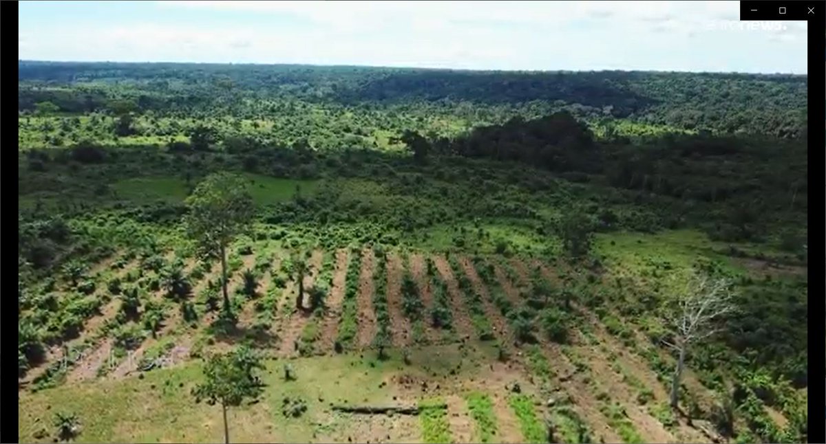 K3C_Earth's tweet photo. "It's not too late. Save the Congo Basin Rainforest - Save the Climate!" Yes, with the K3C Earth blockchain platform.
#ClimateAction #SaveCongoForest #K3C_Earth #finance #forestation https://t.co/j29zOqwHzG