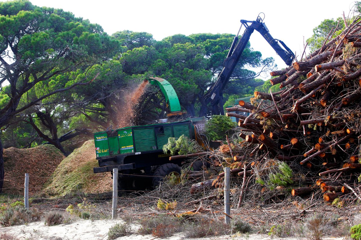 October 21, is the International Day of Action on #BigBadBiomass. Burning trees for electricity production is a civilizational setback, a false solution that produces more emissions and pollution, compromises biodiversity, health in general and public budgets. #StopFakeRenewables