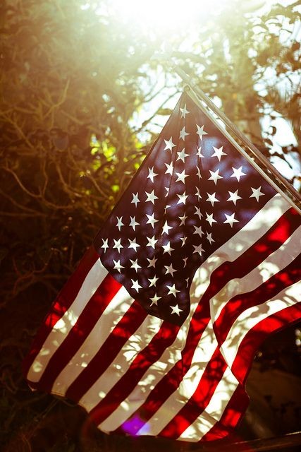 Stalker_Returns's tweet photo. #FlauntTheFlagFriday GOD BLESS AMERICA https://t.co/TflVQc56Ch