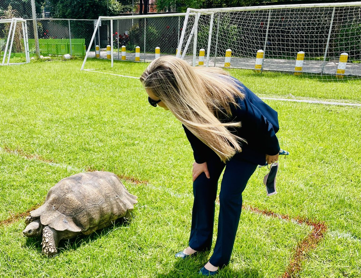 JulieHStern's tweet photo. So grateful to finally spend some soul-enriching, in-person time with the faculty, students, parents, and wildlife of @ICSAddis 

Ethiopia 🇪🇹 is a gorgeous country with fantastic people. 💕 🤓 🤩 https://t.co/tHGZoMEHEG