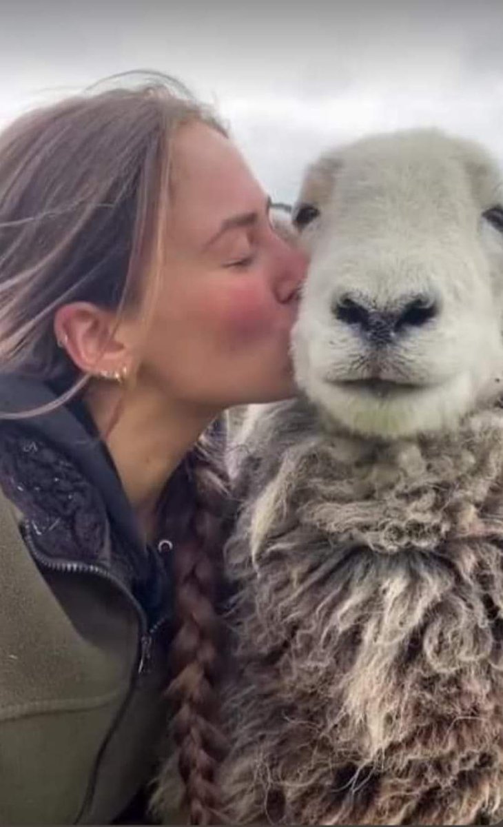 brig_dm's tweet photo. "Il viendra un jour où les hommes connaîtront l'âme des animaux et tuer un animal sera considéré comme un crime, comme de tuer un être humain. Ce jour-là, la civilisation aura avancé".
(Léonard de Vinci) https://t.co/1dP4KtmQib